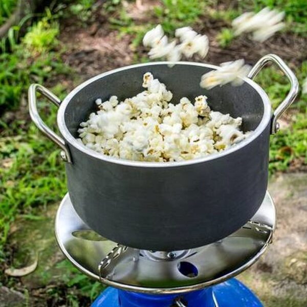 Pot
