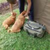 Multi Bag