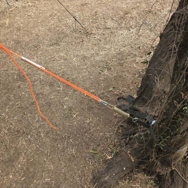 Guy Ropes