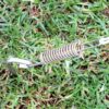 Tent Pegs
