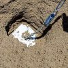 Max Sand Anchor Kit