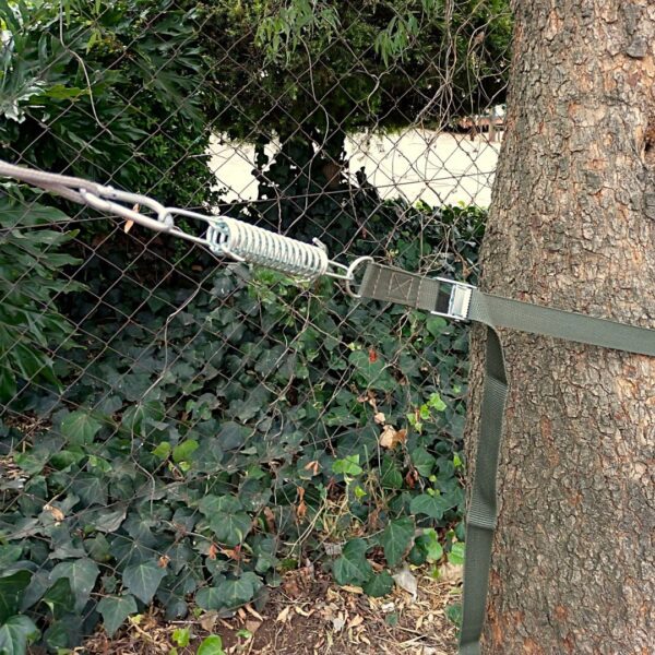 Tree Anchor