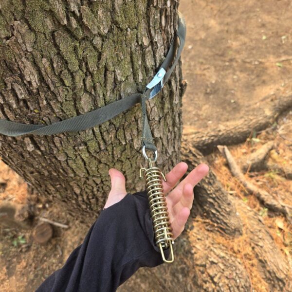 Tree Anchor