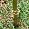 Max Pole Steady Pin