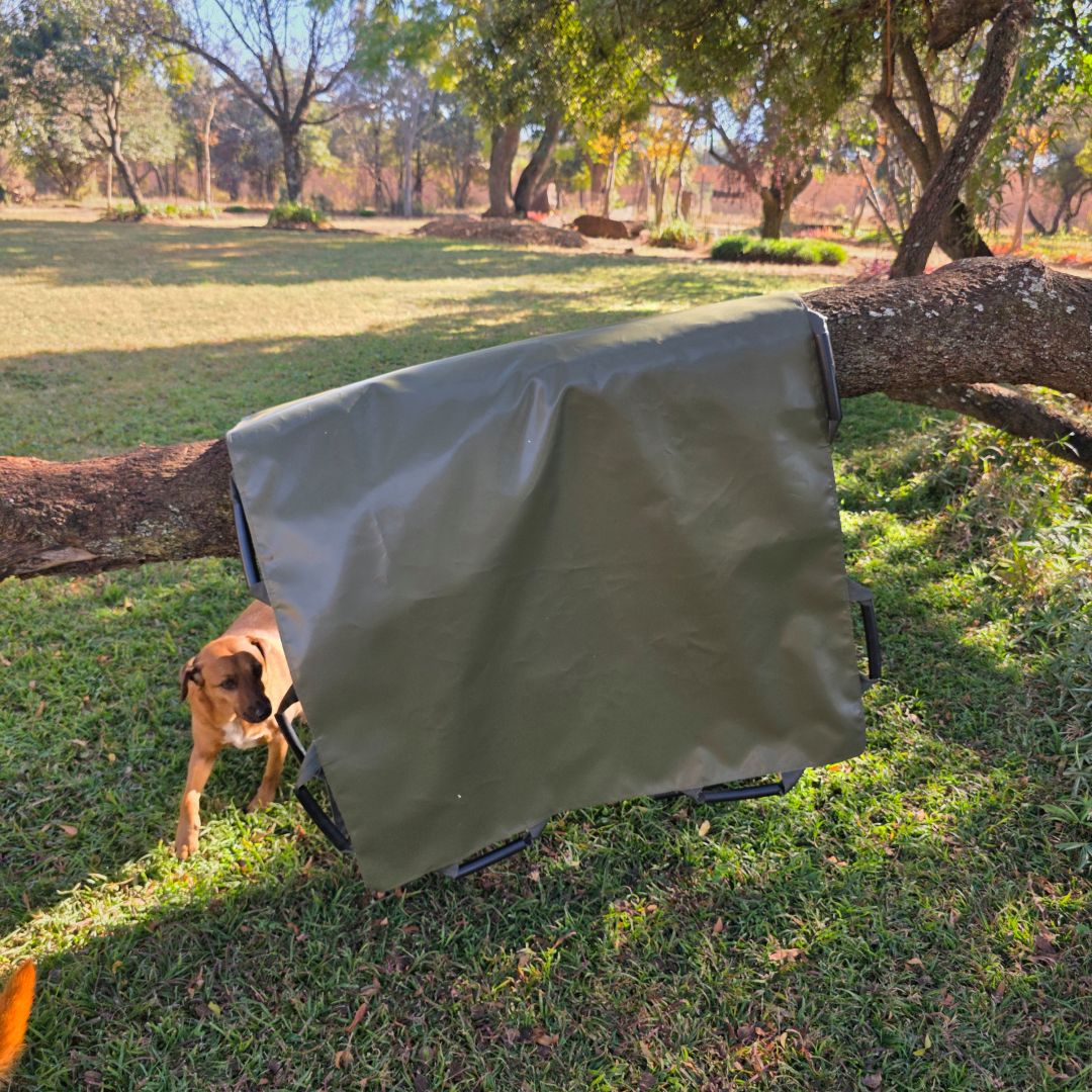 Game Carrier