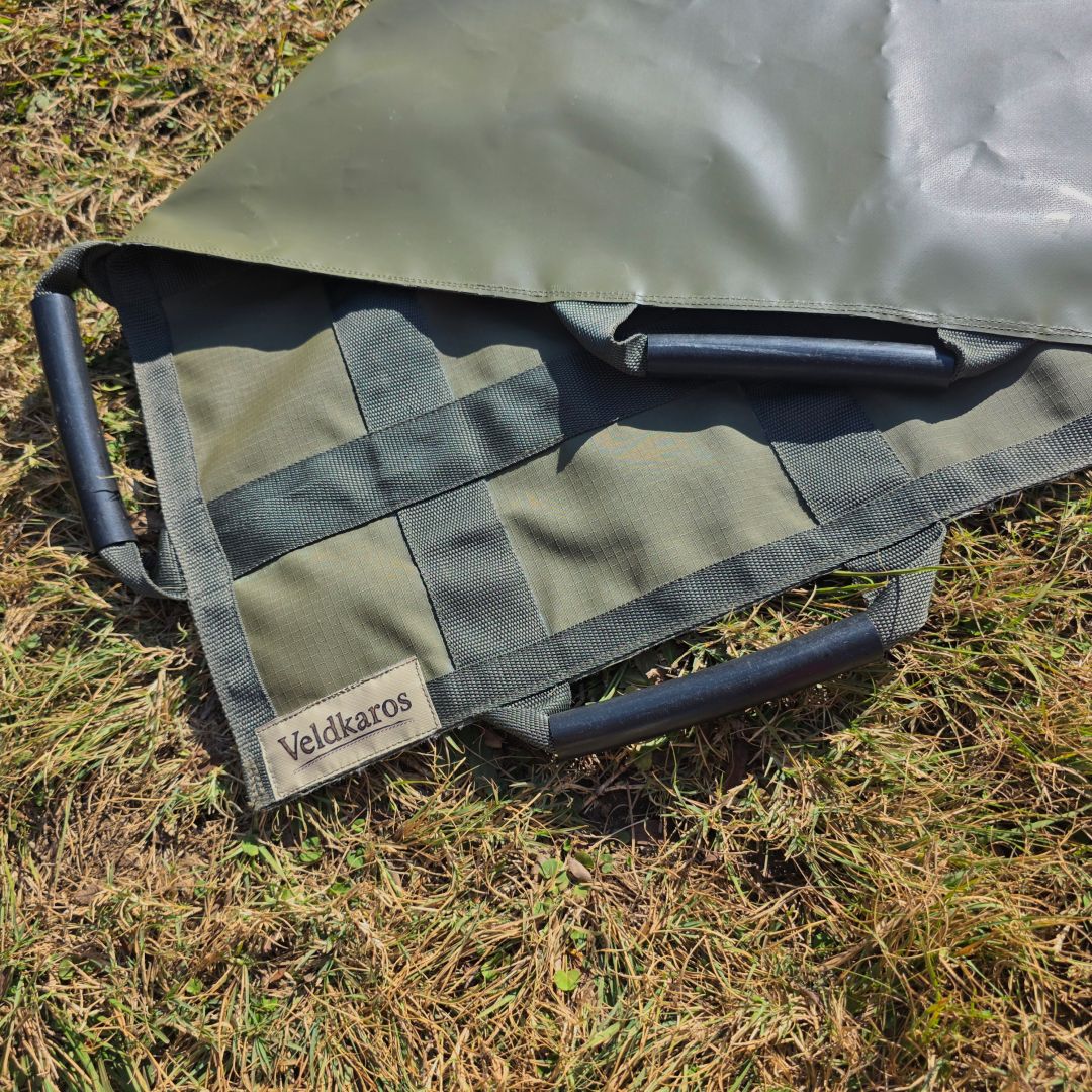 Game Carrier