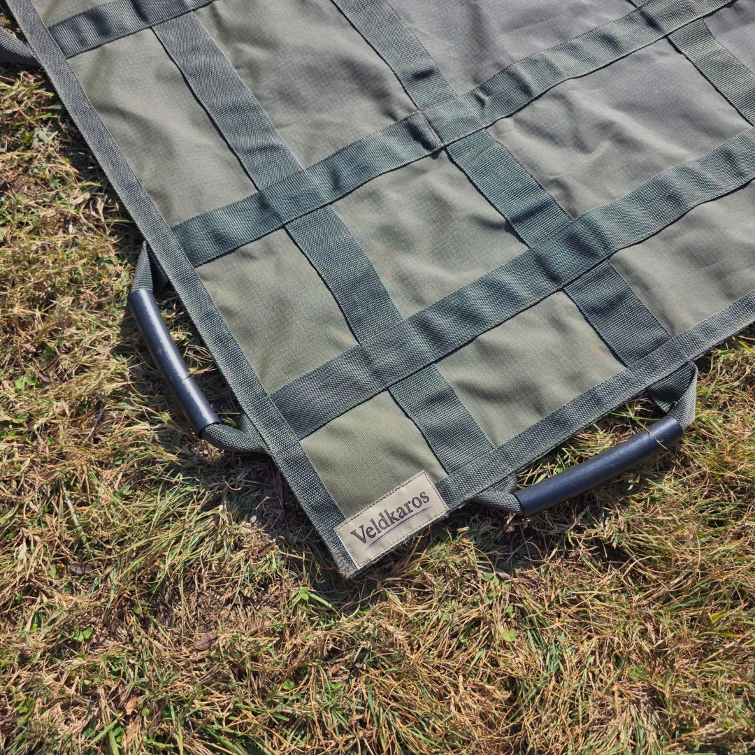 Game Carrier