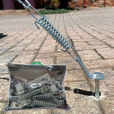 Screw Peg Set