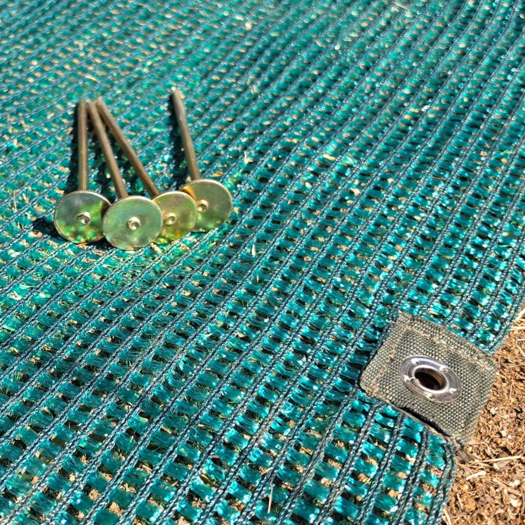 Groundsheet Pegs
