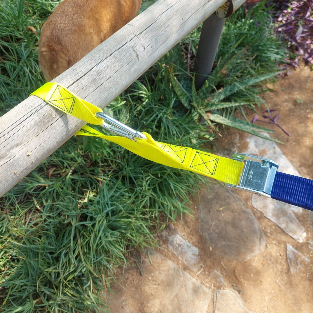 Snap Strap