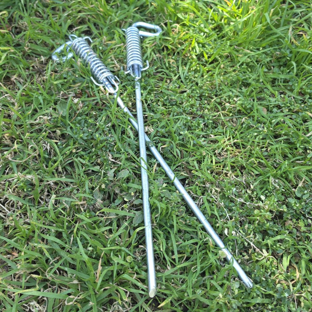 Spring Pegs